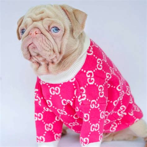 gucci sweater for dogs|gucci inspired dog clothes.